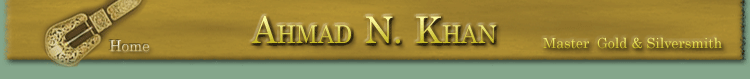 AHMAD N. KHAN